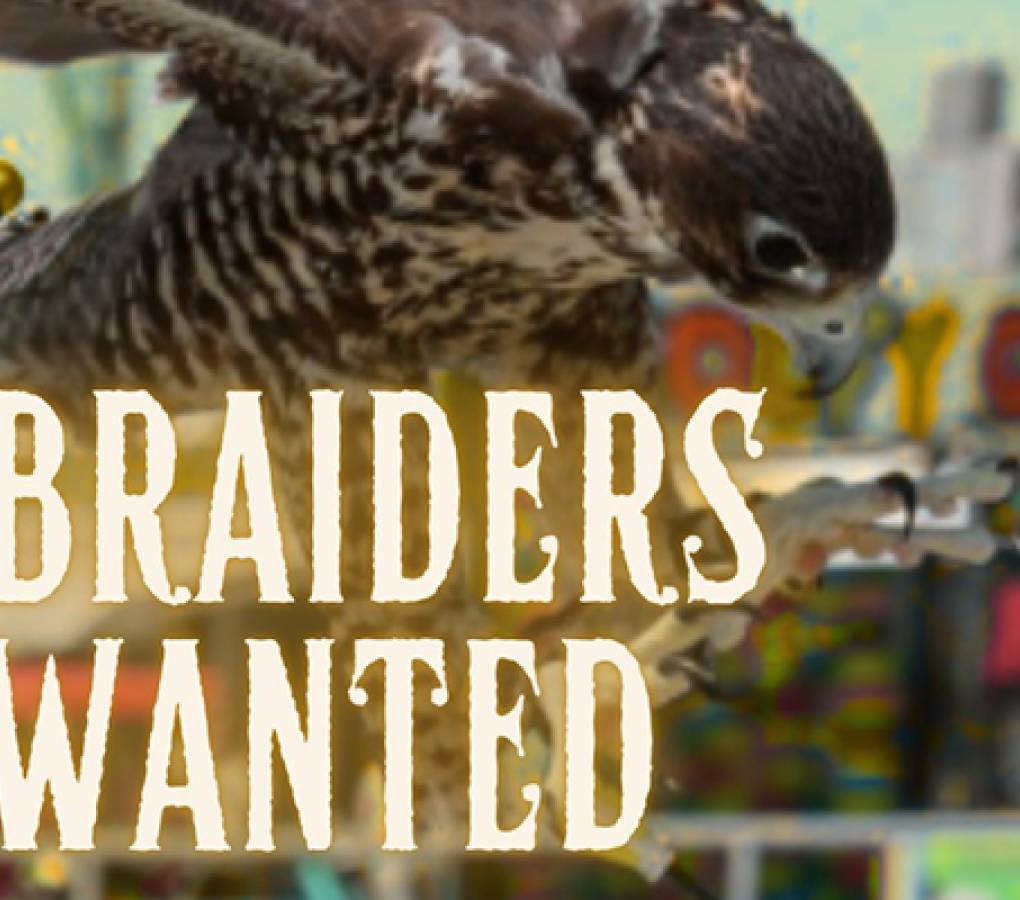 Braiders Wanted - New Jersey